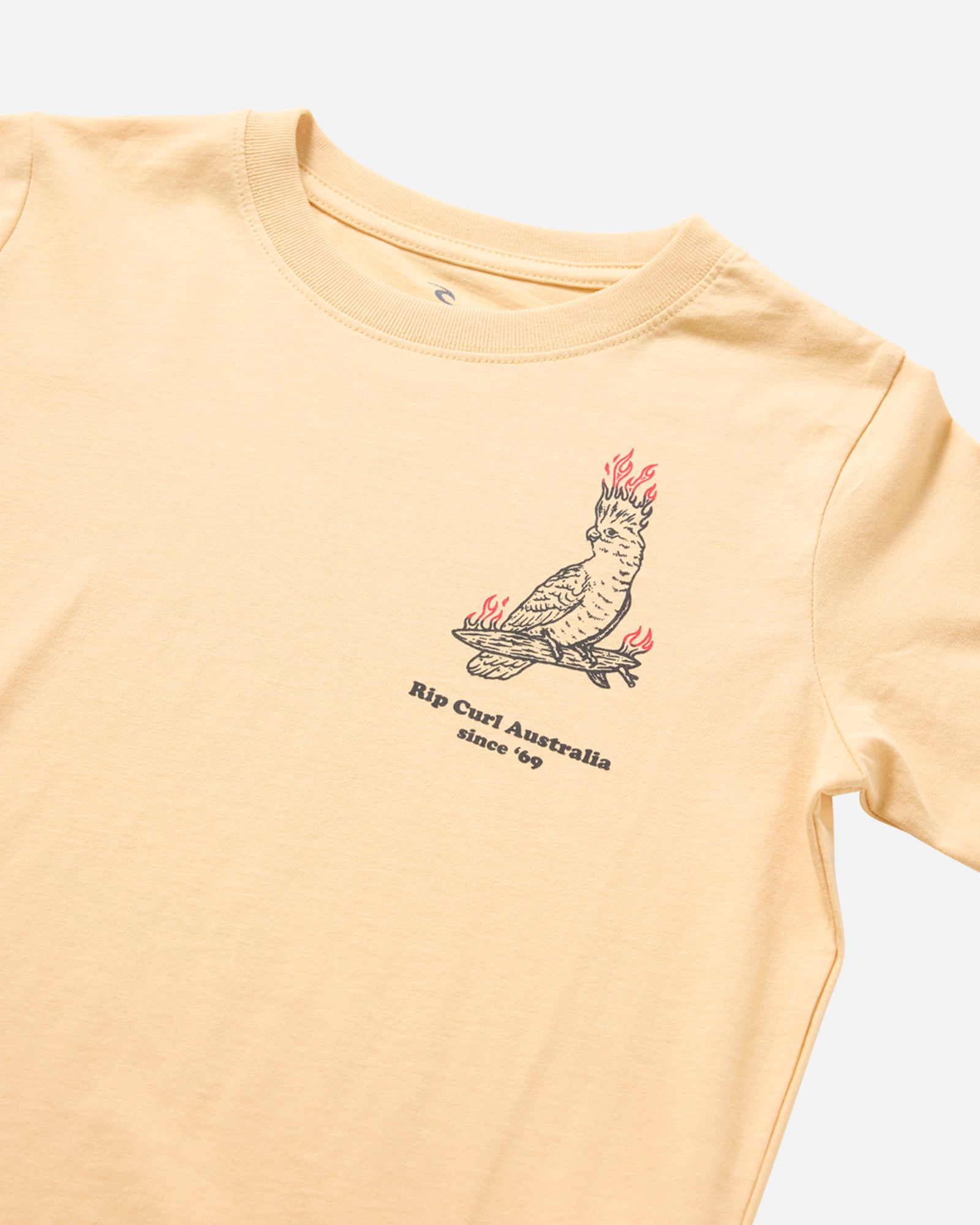 025TTE_9746_2_1741748076000