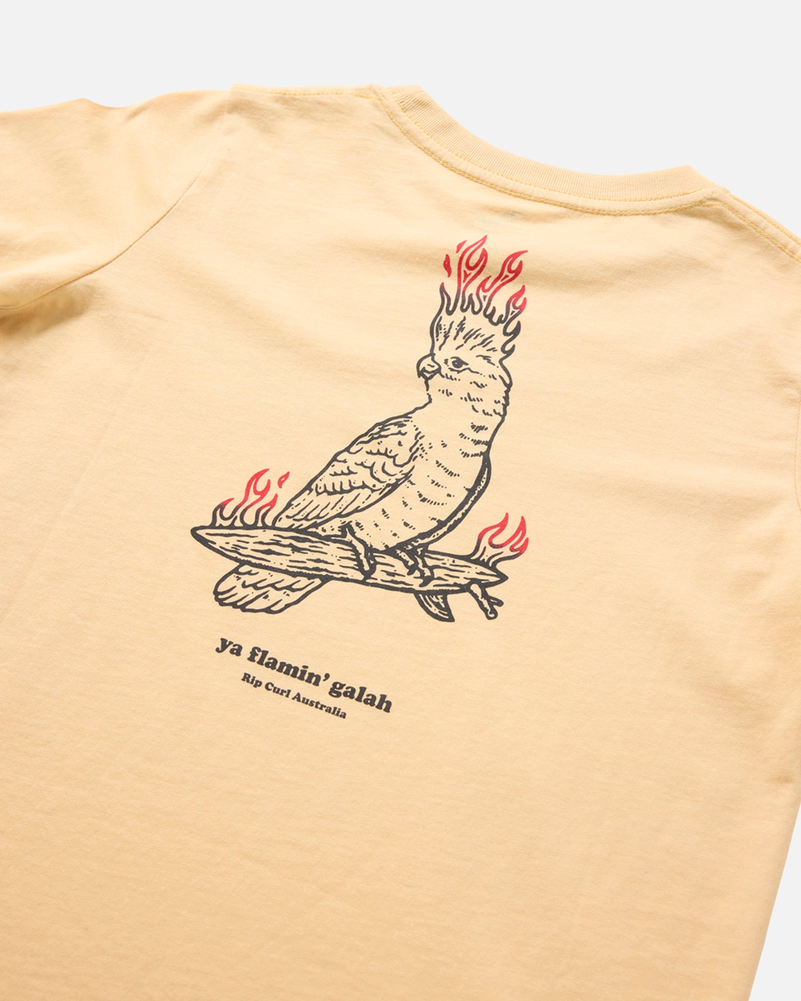 025TTE_9746_4_1741748076000