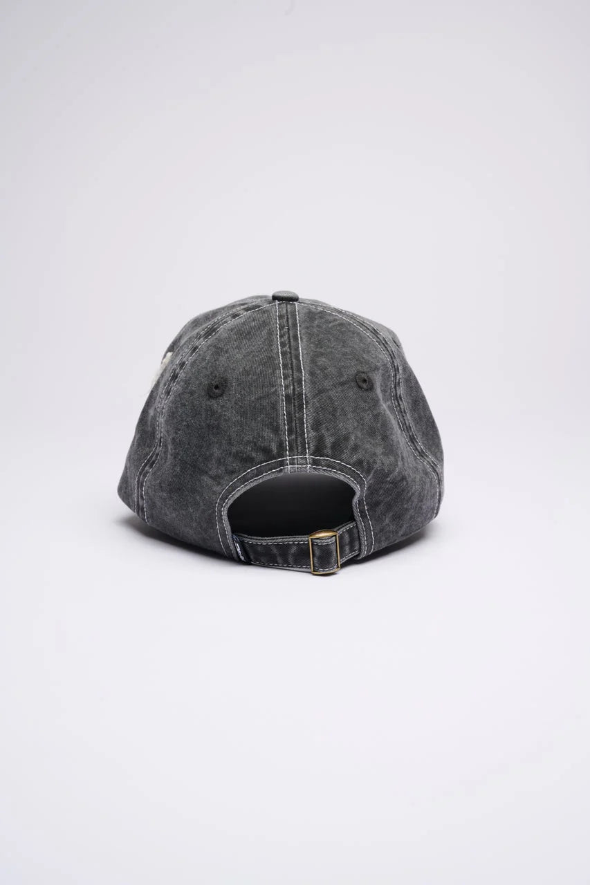 Archive Script Distressed Cap