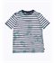 Frequency Stripe Youth - Insignia B
