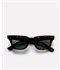 Stereo Polarised Tortoise Polarized Green Sunglasses