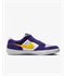 Nike SB Force 58: Court Purple Shoes