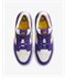Nike SB Force 58: Court Purple Shoes