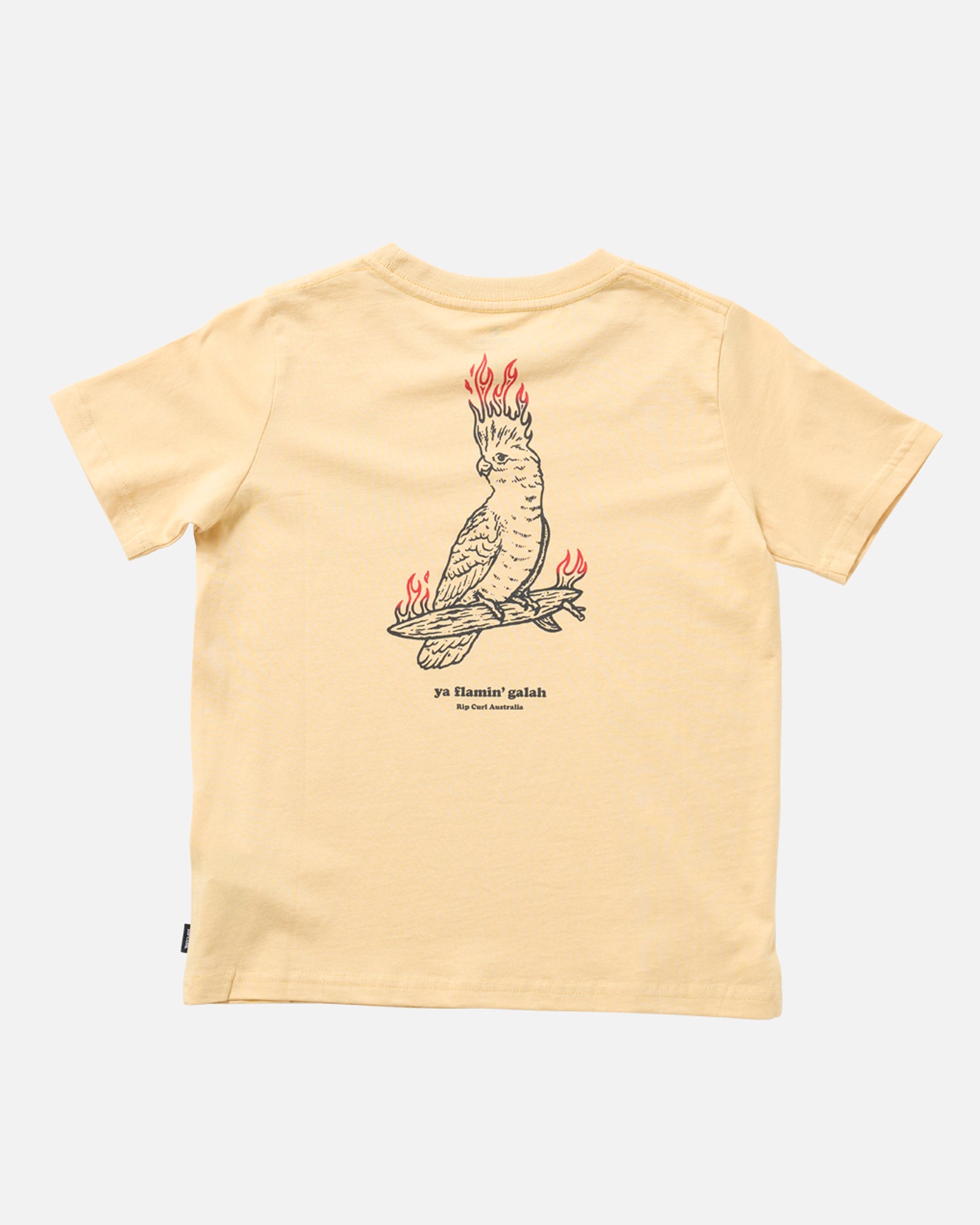 025TTE_9746_3_1741748076000