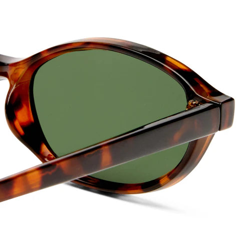 Earthshine Sunglasses