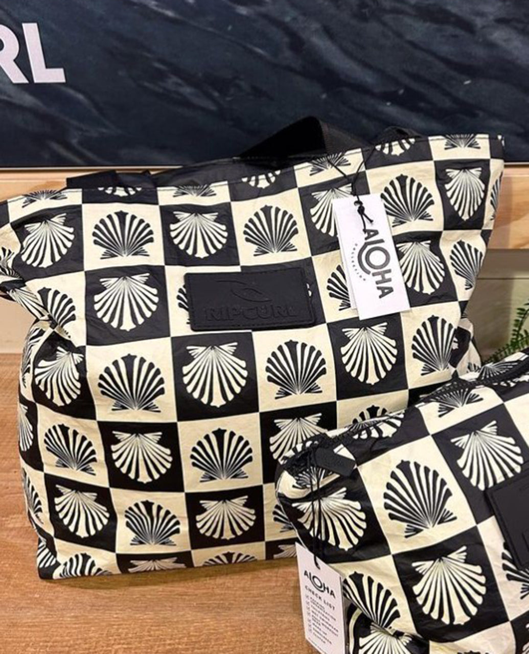 DAYRIP1-SOL_0900_1_1741749436000